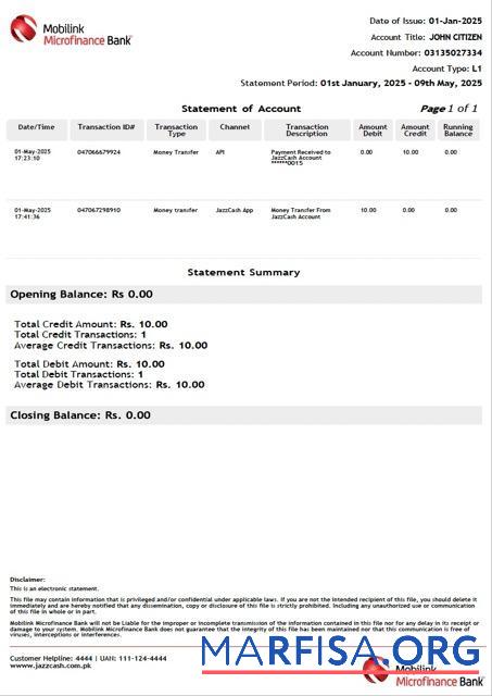 Printable Pakistan Mobilink Microfinance bank statement of account word template